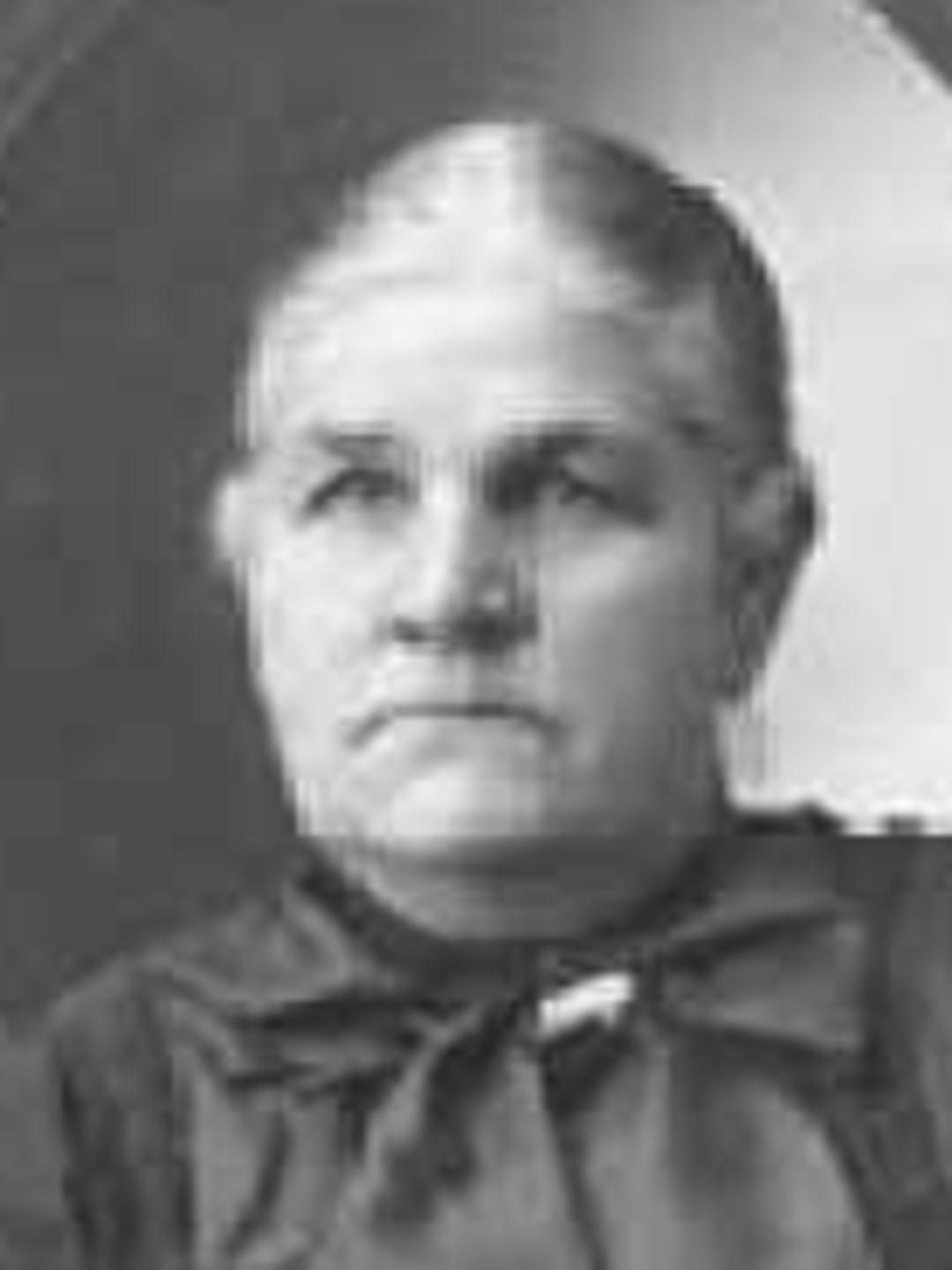 Mary Ann Havens Nebeker (1844 - 1911) Profile
